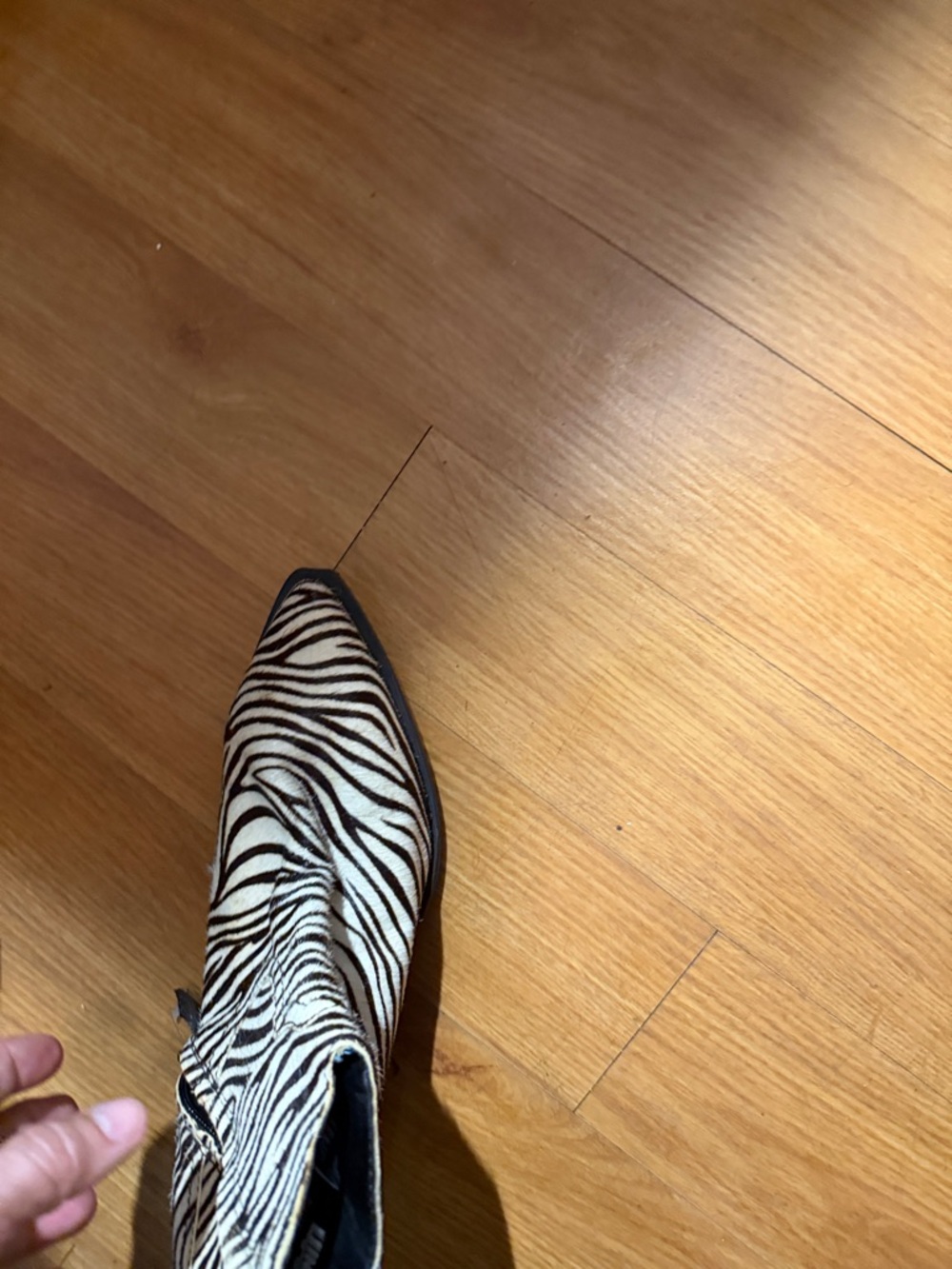 dingo Zebra-Print Ankle Boot - Black & White - Picture 4 of 8